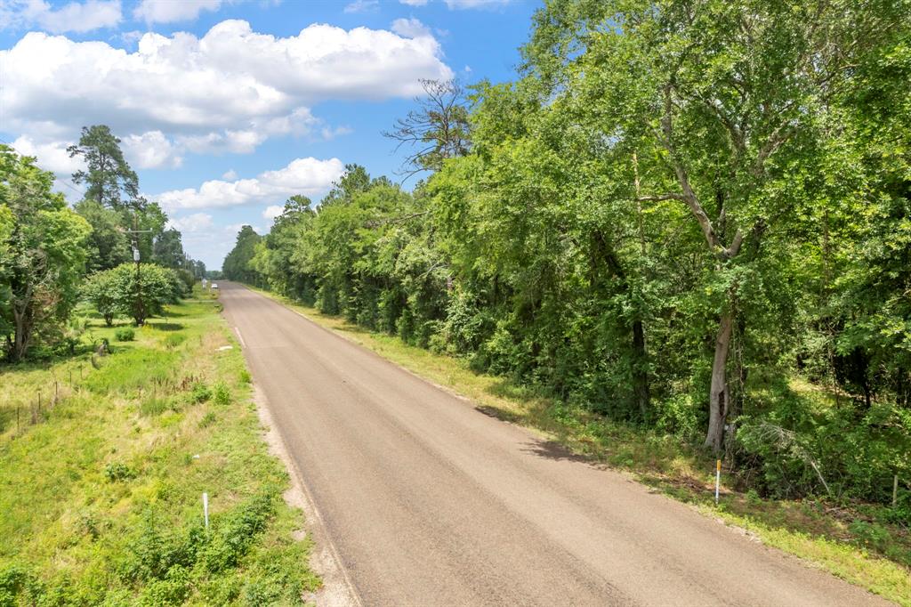14762 Fm 1774, Plantersville, Texas image 18
