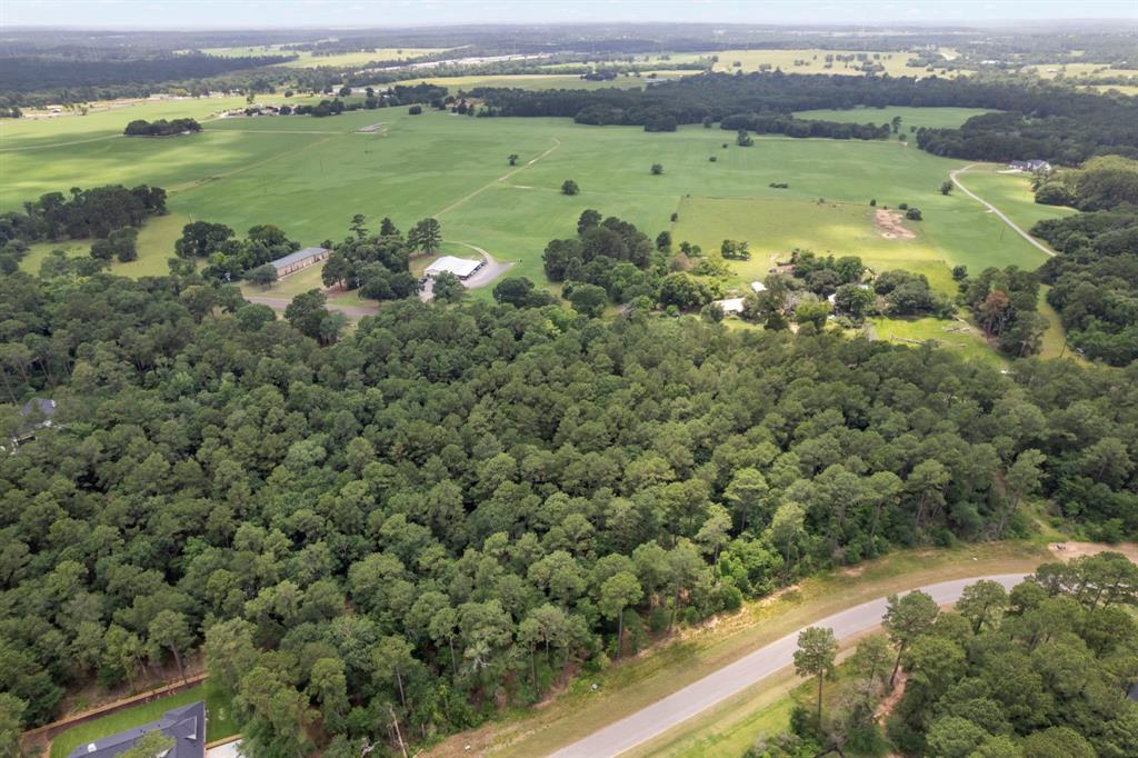 14762 Fm 1774, Plantersville, Texas image 7
