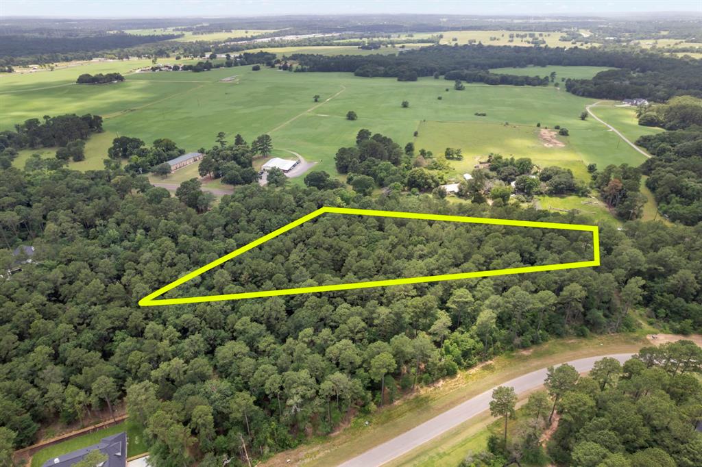 14762 Fm 1774, Plantersville, Texas image 8