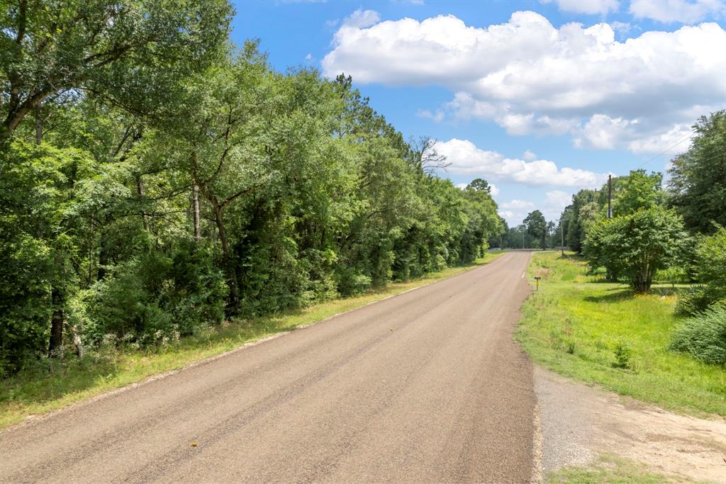 14762 Fm 1774, Plantersville, Texas image 19