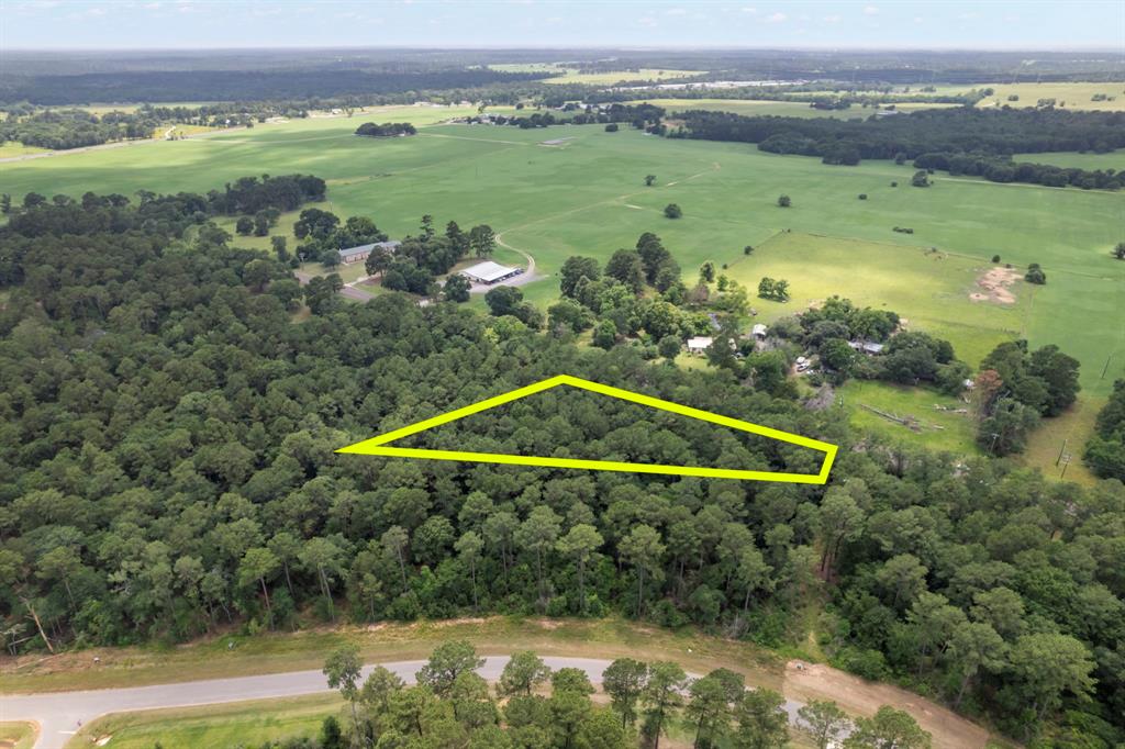 14762 Fm 1774, Plantersville, Texas image 6