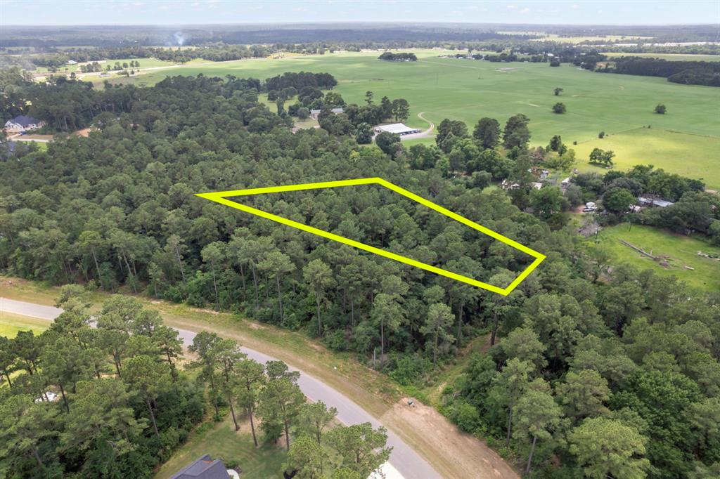 14762 Fm 1774, Plantersville, Texas image 4