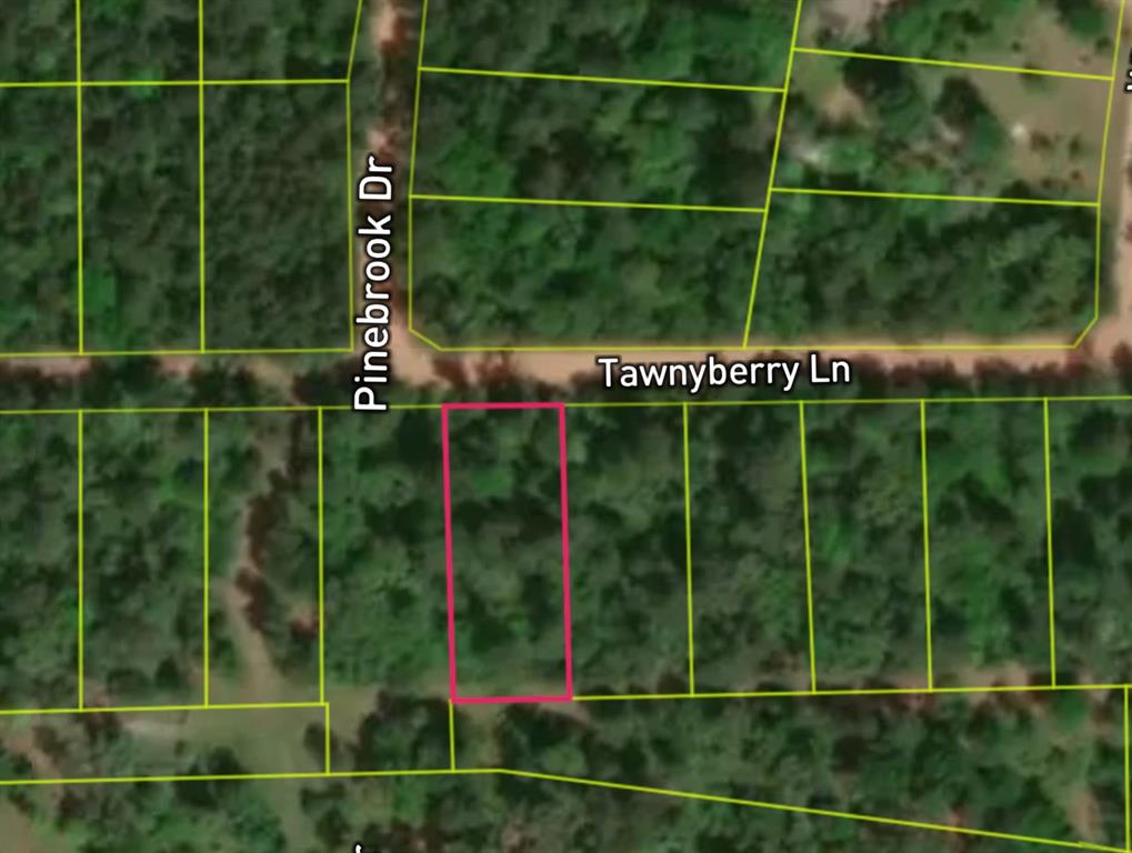 Lot 2 Tawnyberry Lane, Plantersville, Texas image 1