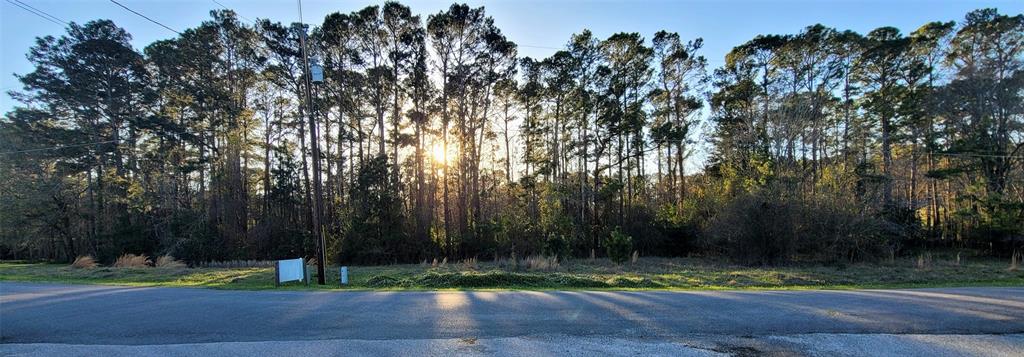 TBD Hickory Ridge Drive, Coldspring, Texas image 1