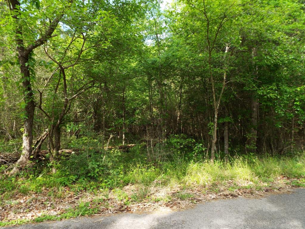 Lot 34 Dogwood Road, Huntsville, Texas image 2