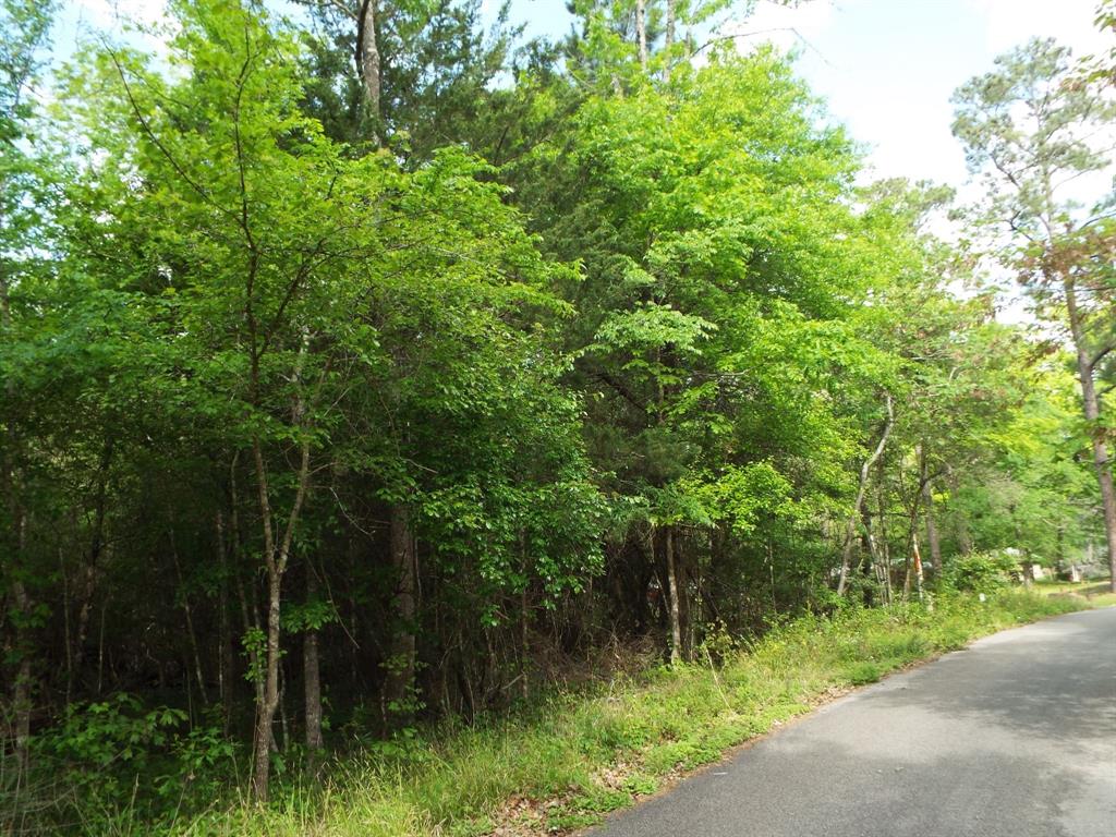 Lot 34 Dogwood Road, Huntsville, Texas image 21