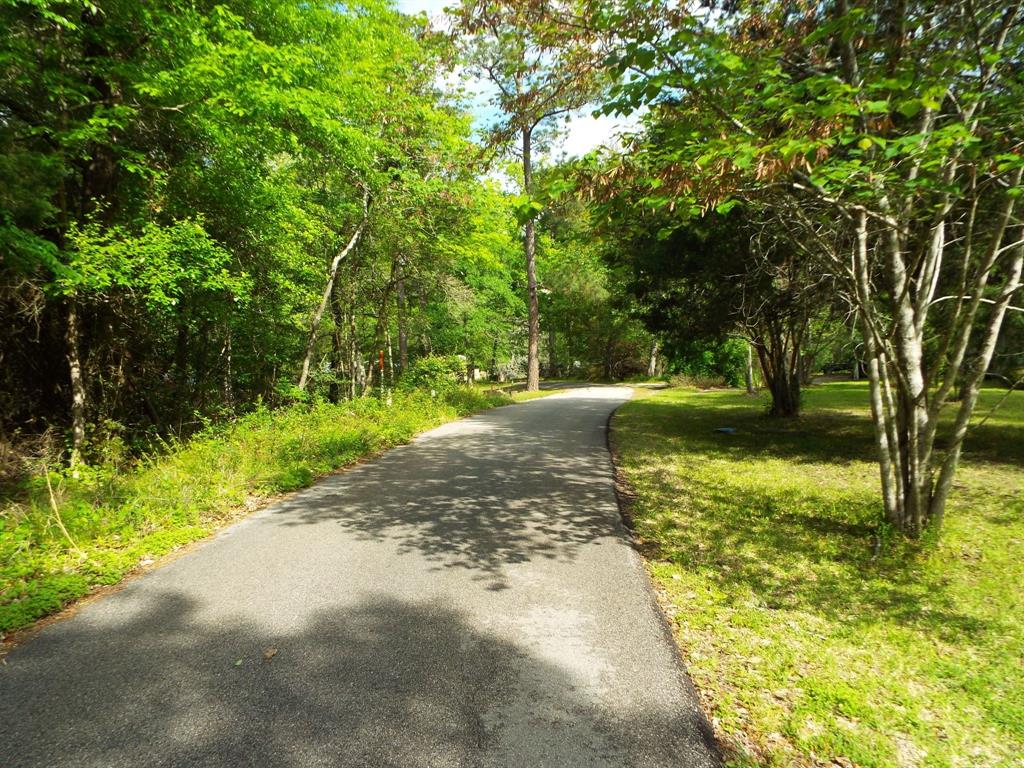 Lot 34 Dogwood Road, Huntsville, Texas image 3