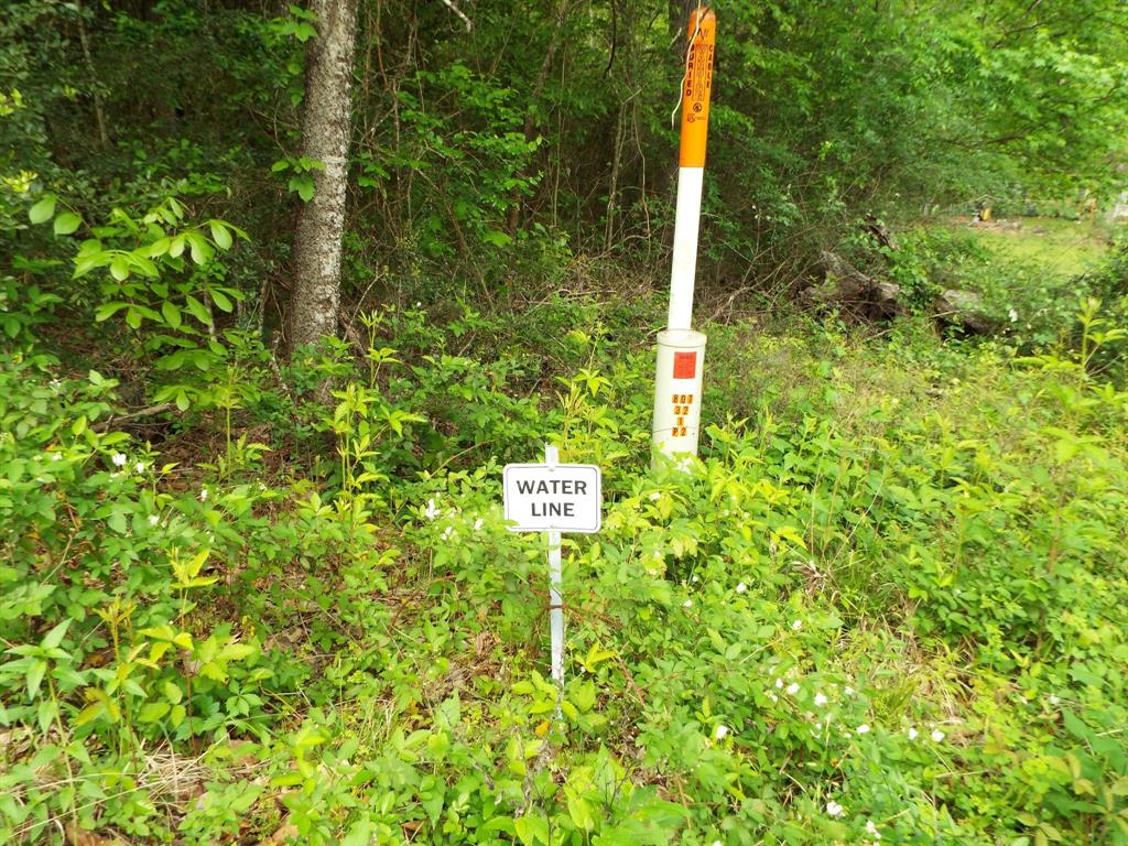 Lot 34 Dogwood Road, Huntsville, Texas image 4