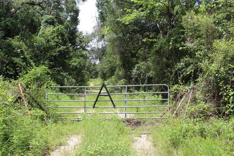 Photo of 1306 County Road 3455a, Lovelady, TX 75851 (MLS # 81190894) Photo of 1306 County Road 3455a, Lovelady, TX 75851 (MLS # 81190894)