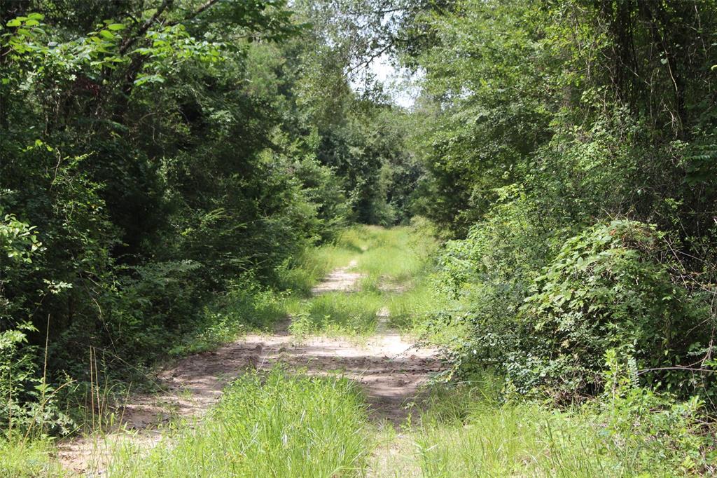 1306 County Road 3455a