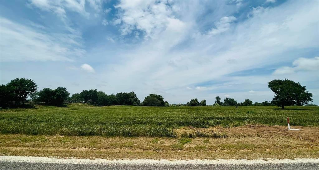 1141 Bluebonnet Ridge Drive, Chappell Hill, Texas image 2