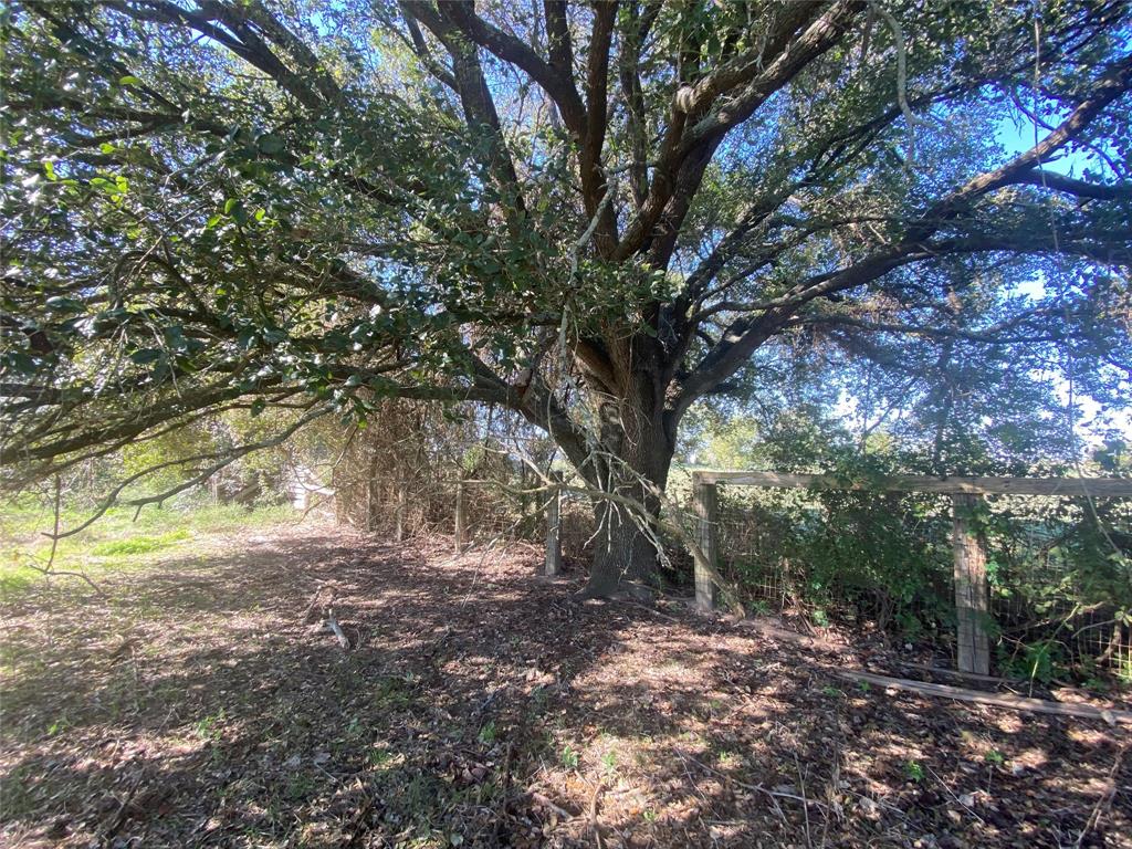 1141 Bluebonnet Ridge Drive, Chappell Hill, Texas image 5