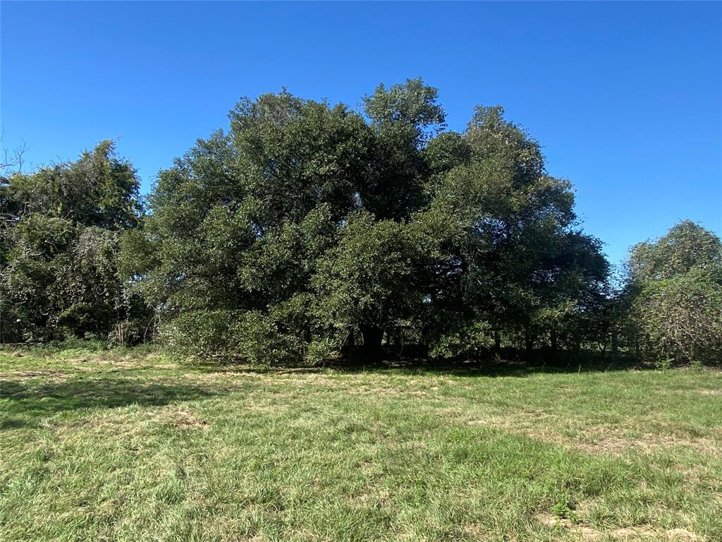 1141 Bluebonnet Ridge Drive, Chappell Hill, Texas image 4