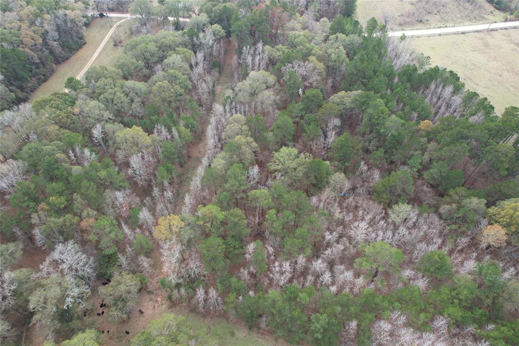 000 County Road 4700, Kennard, Texas image 10