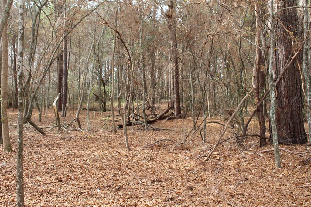 000 County Road 4700, Kennard, Texas image 1