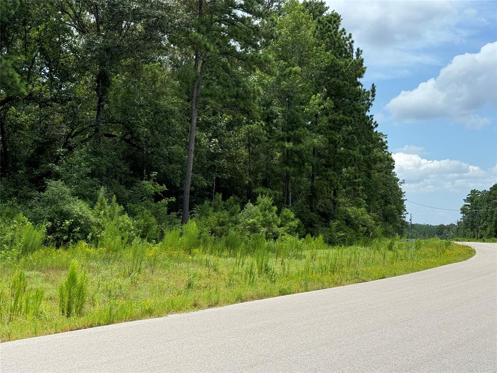 5-24-7 Rim Rock Road, Huntsville, Texas image 4