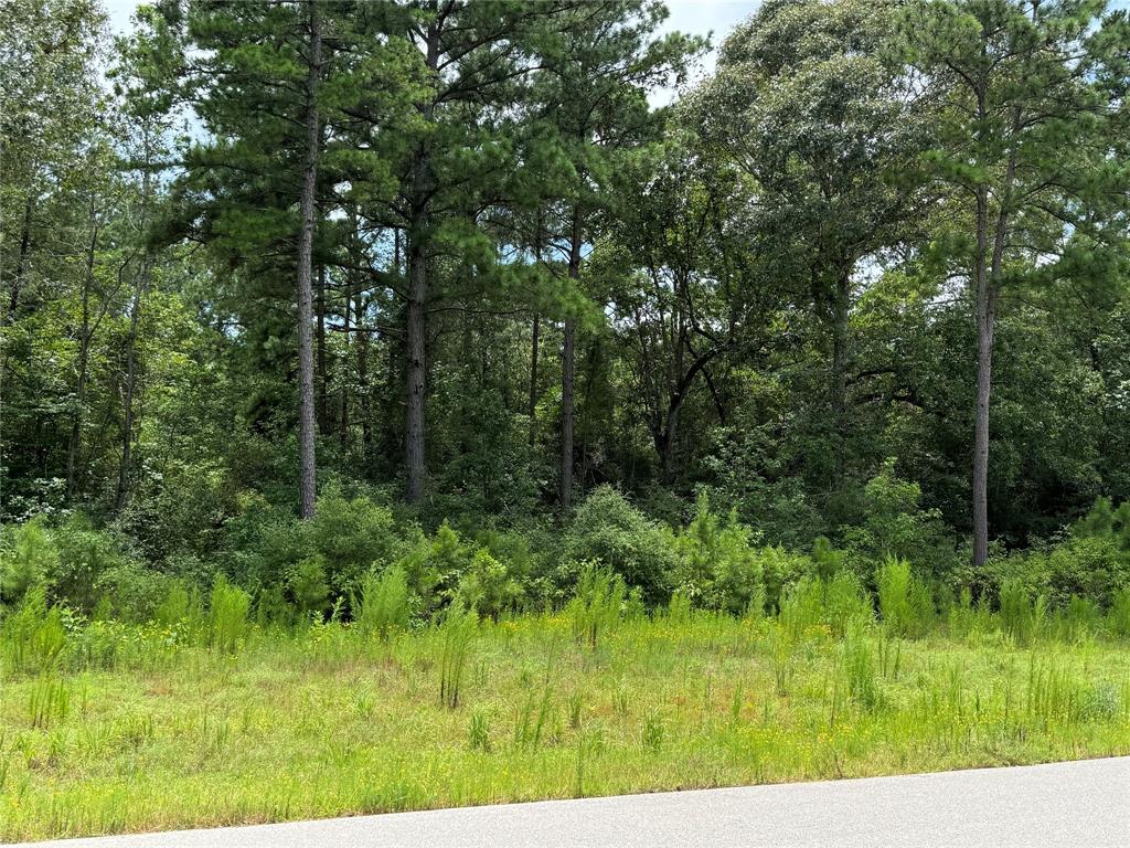 5-24-7 Rim Rock Road, Huntsville, Texas image 5