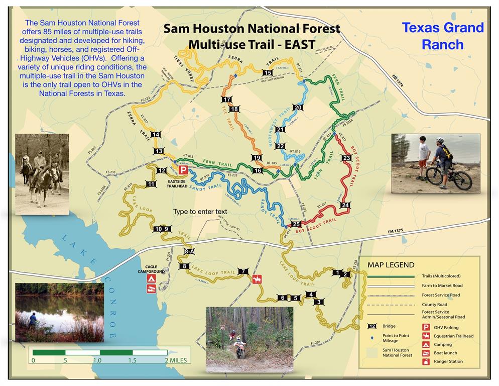 5-24-7 Rim Rock Road, Huntsville, Texas image 21