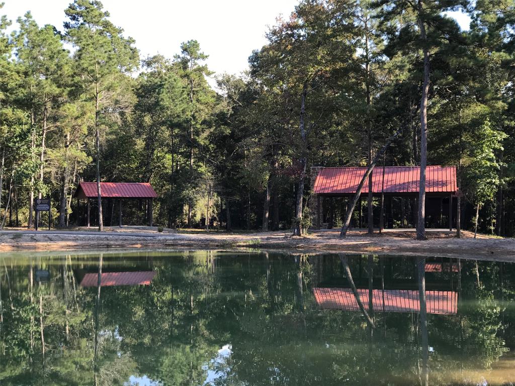 5-24-7 Rim Rock Road, Huntsville, Texas image 12