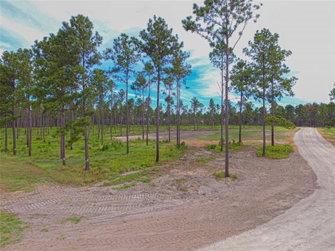 Vacant Land For Sale - 002 Lucky 13 Rd<br/> Livingston, TX 77351