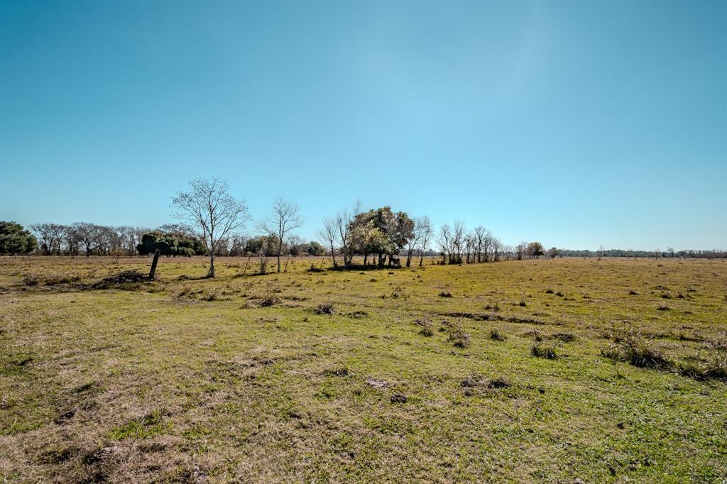 8261 County Road 605 Sawmill Road, Dayton, Texas image 11