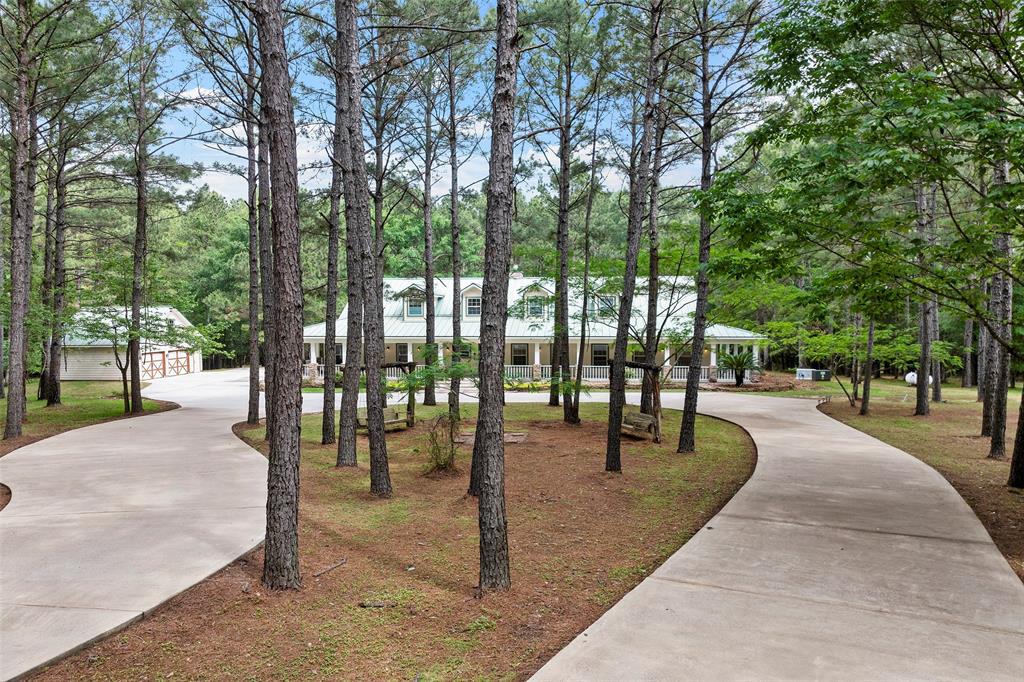 519 Dodge Oakhurst Road, Huntsville, Texas image 4