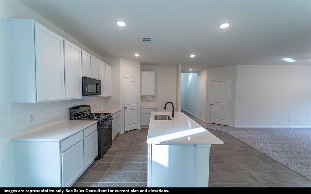 506 Sacred Fig Lane, Crosby, Texas image 5