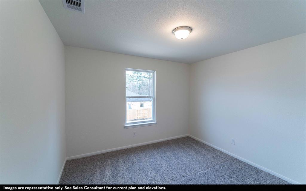 506 Sacred Fig Lane, Crosby, Texas image 12