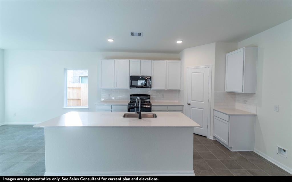 506 Sacred Fig Lane, Crosby, Texas image 4