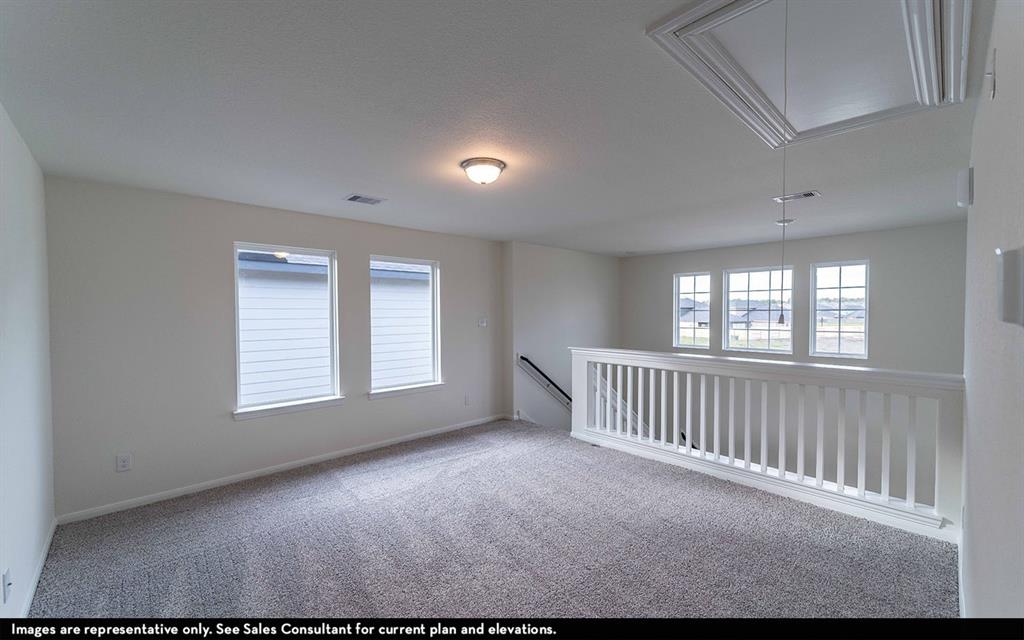 506 Sacred Fig Lane, Crosby, Texas image 14