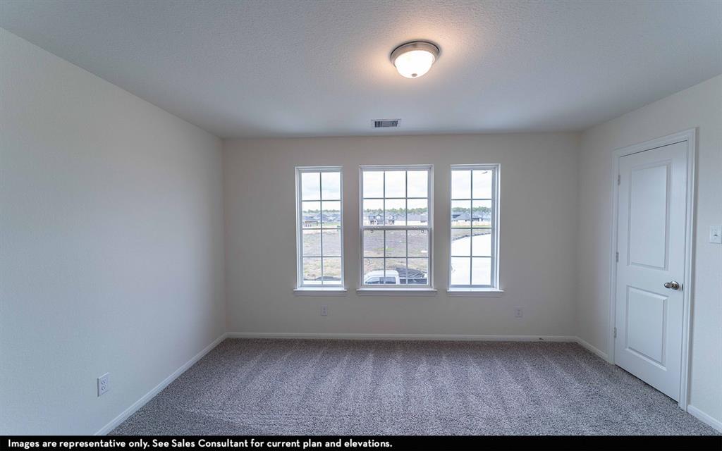 506 Sacred Fig Lane, Crosby, Texas image 2