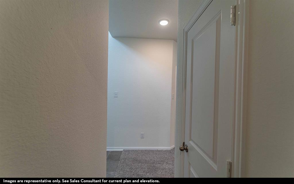 506 Sacred Fig Lane, Crosby, Texas image 9