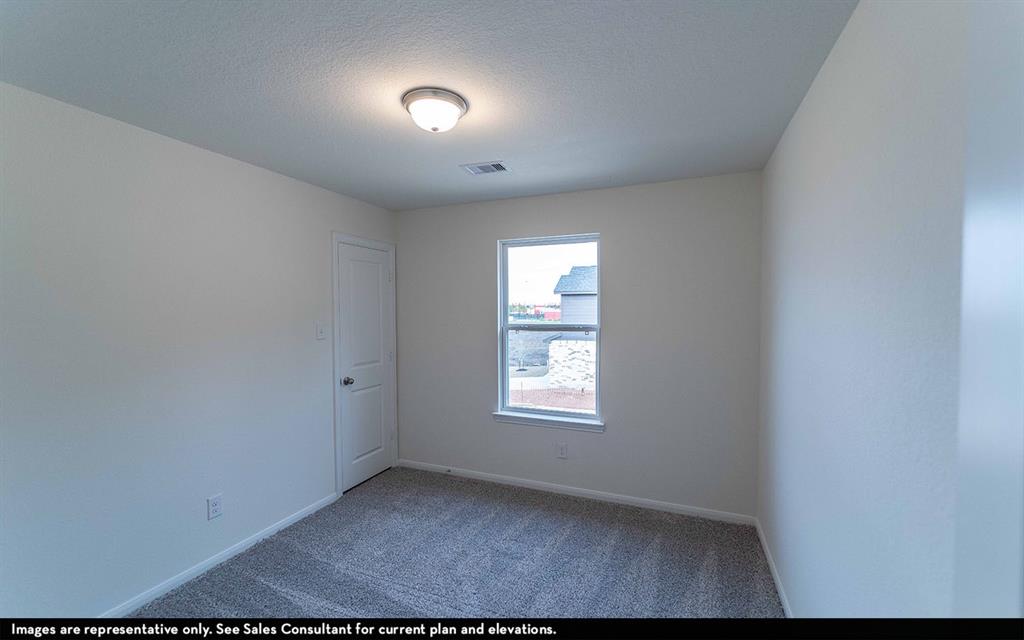 506 Sacred Fig Lane, Crosby, Texas image 10