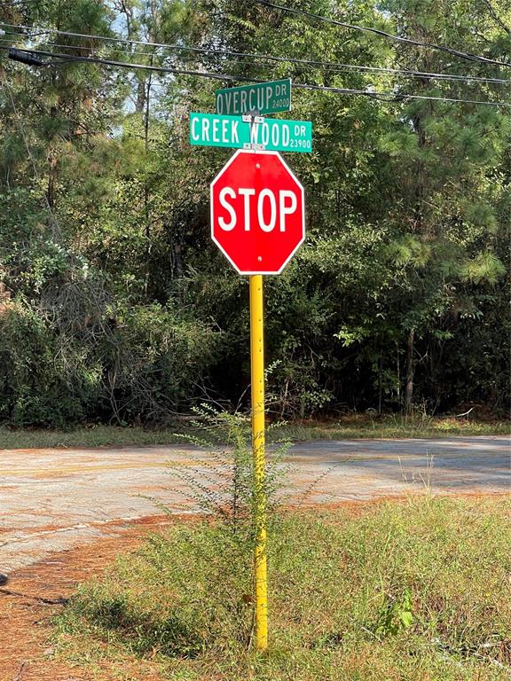 Overcup Drive, Spring, Texas image 1