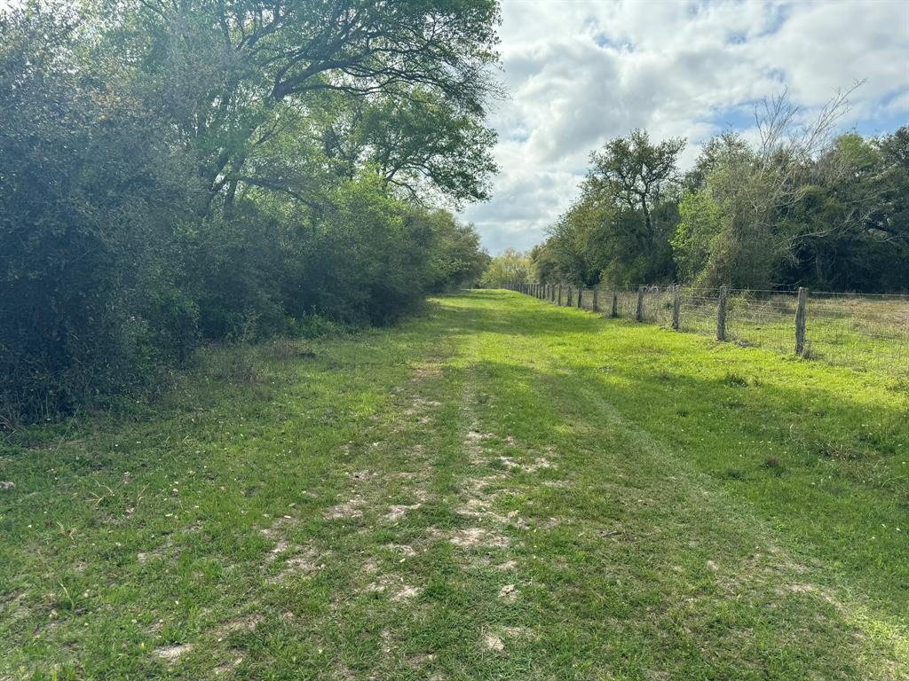 TBD County Road 394, El Campo, Texas image 14