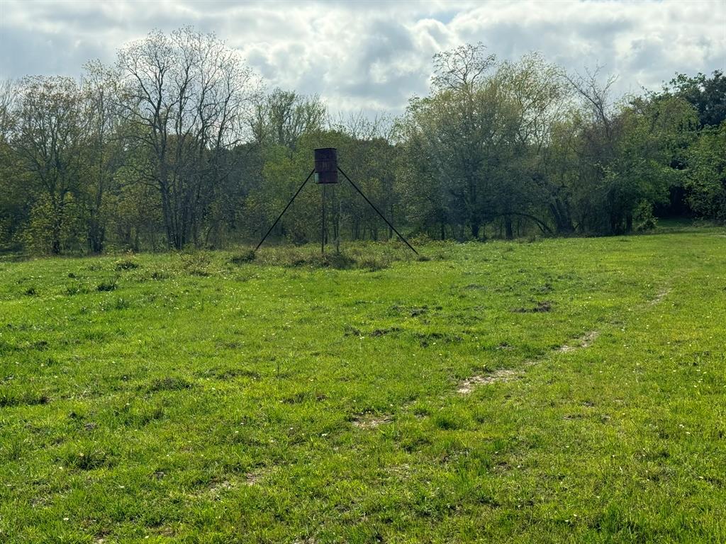 TBD County Road 394, El Campo, Texas image 18