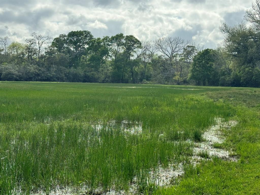 TBD County Road 394, El Campo, Texas image 9