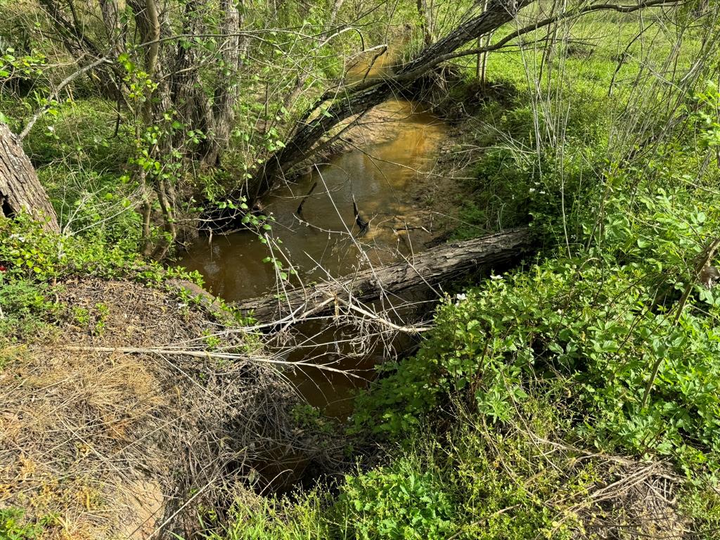 TBD County Road 394, El Campo, Texas image 21