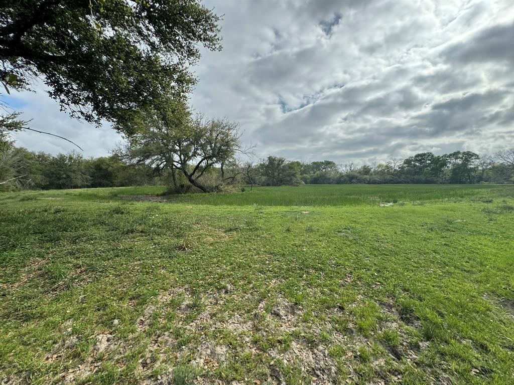 TBD County Road 394, El Campo, Texas image 2