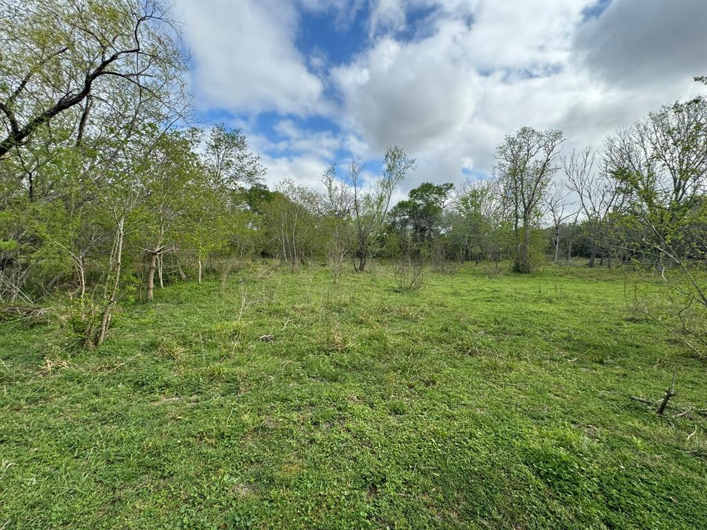 TBD County Road 394, El Campo, Texas image 28