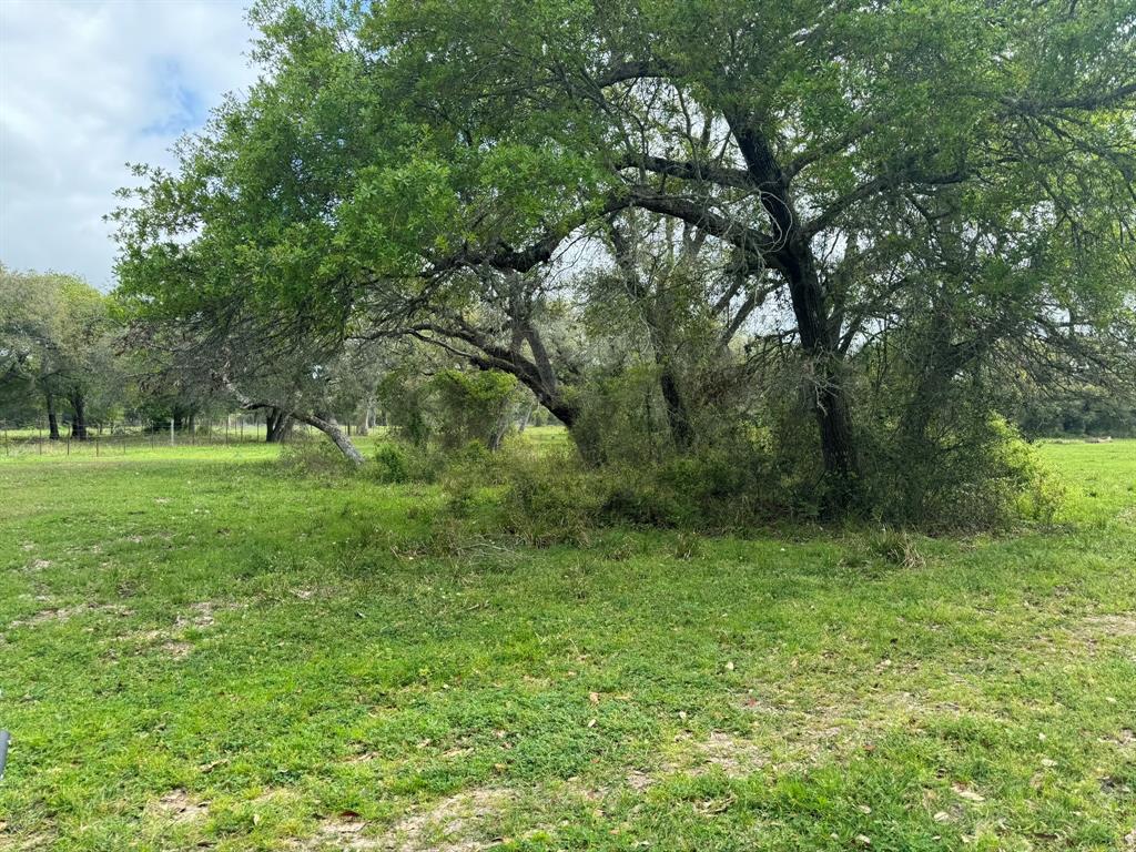 TBD County Road 394, El Campo, Texas image 5