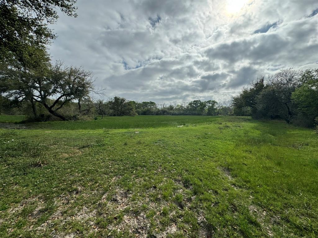 TBD County Road 394, El Campo, Texas image 7