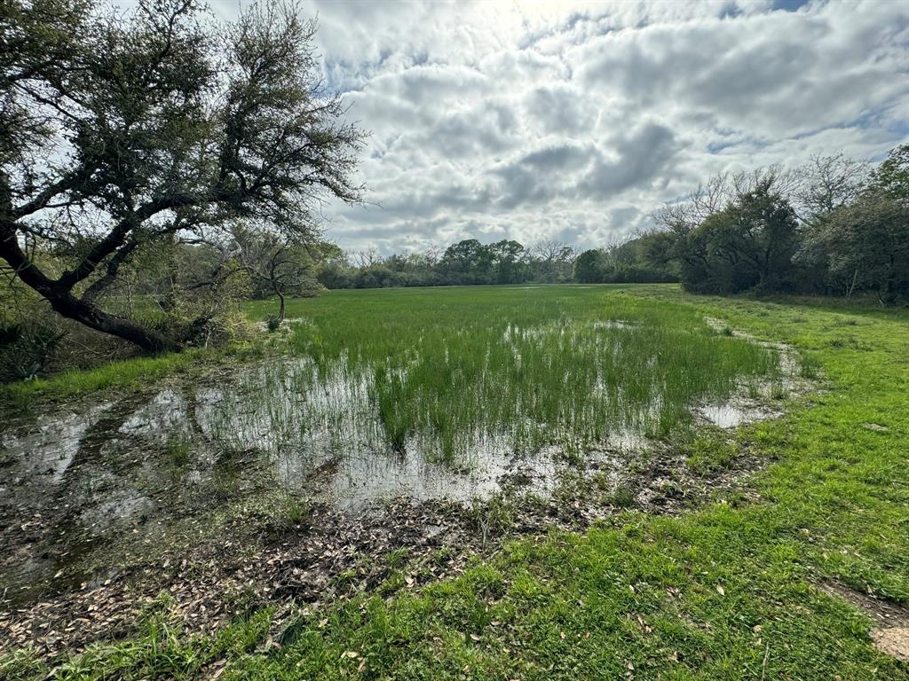 TBD County Road 394, El Campo, Texas image 12