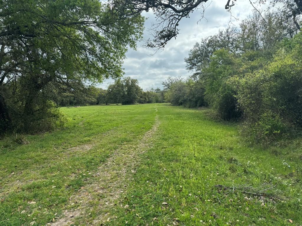 TBD County Road 394, El Campo, Texas image 6