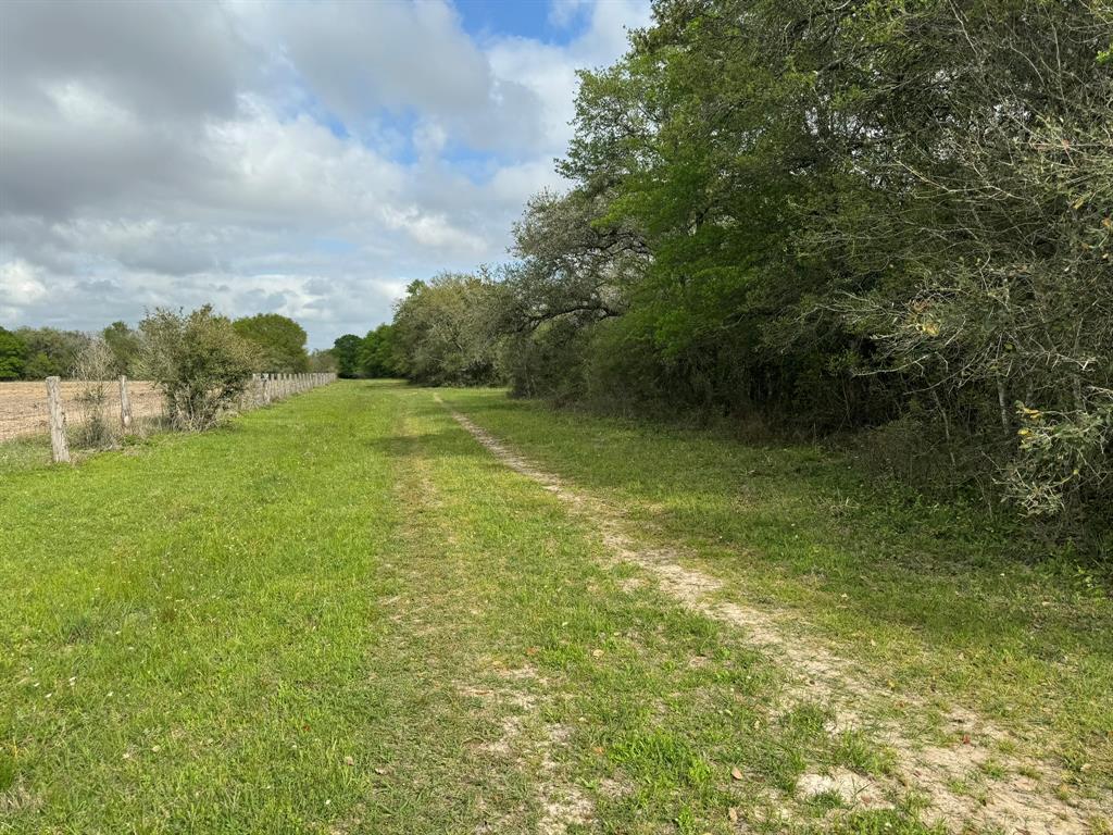 TBD County Road 394, El Campo, Texas image 16