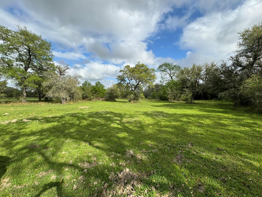 TBD County Road 394, El Campo, Texas image 38