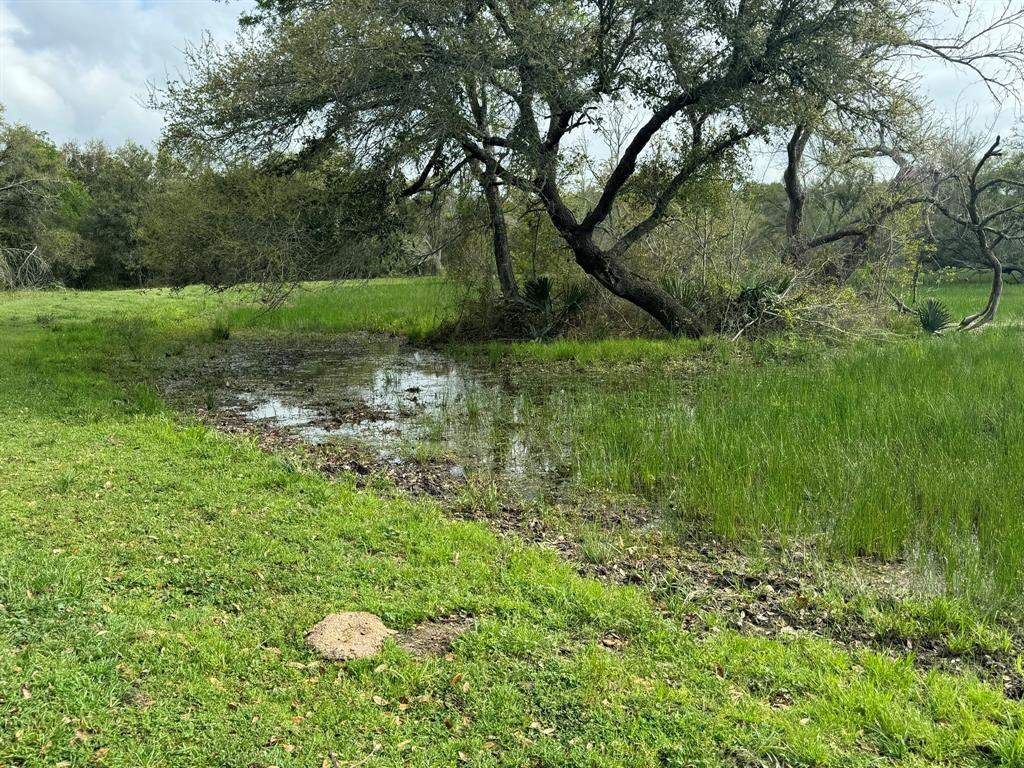 TBD County Road 394, El Campo, Texas image 10