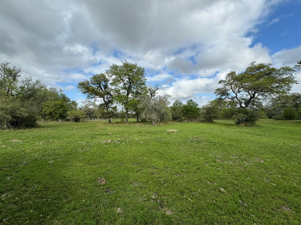 TBD County Road 394, El Campo, Texas image 39