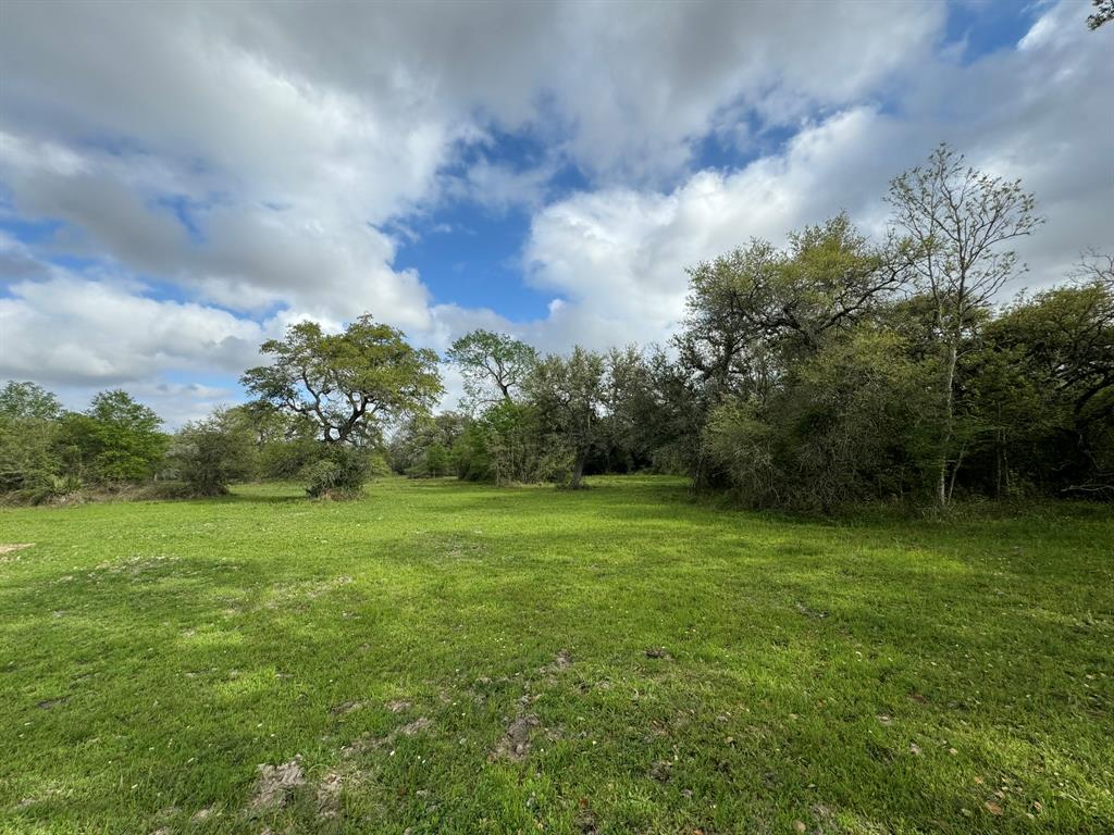 TBD County Road 394, El Campo, Texas image 1