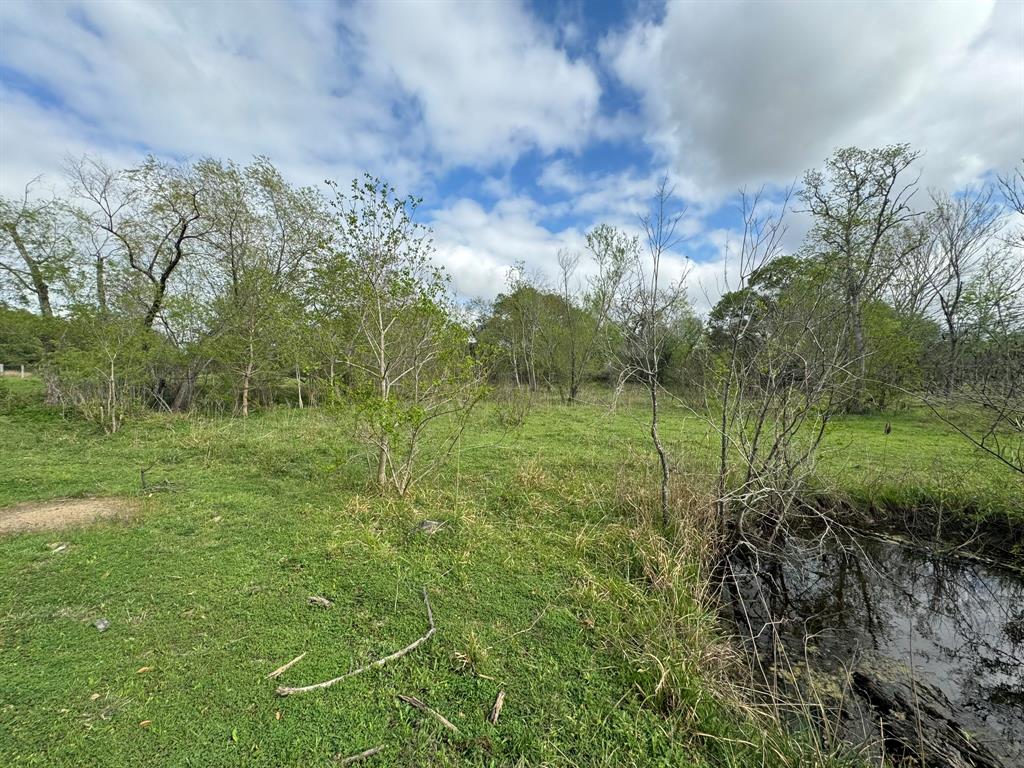 TBD County Road 394, El Campo, Texas image 31